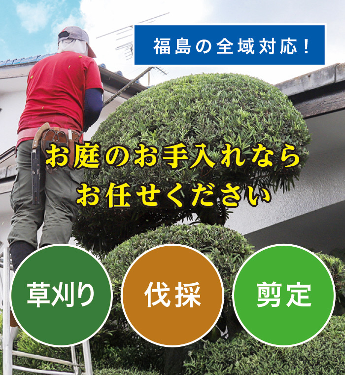 �I�q���ő�����E����E���̂Ȃ�u����̑叫�v